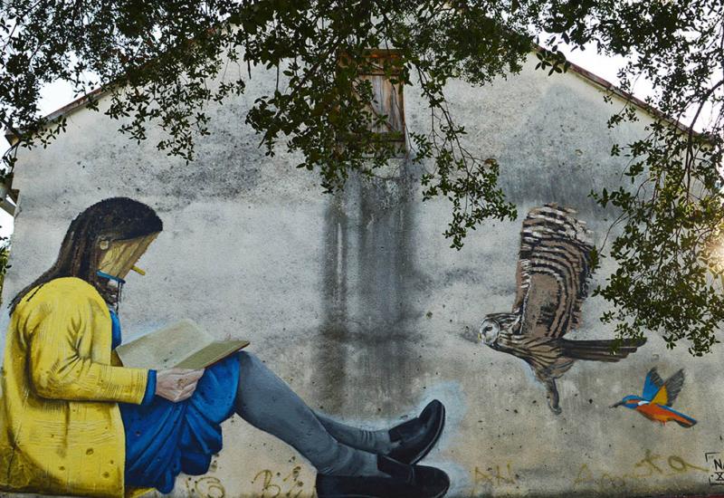 Svjetski umjetnik oslikava mural na biblioteci UNMO